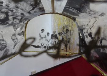 Misteri dell’origine – Carina Arantes Faria