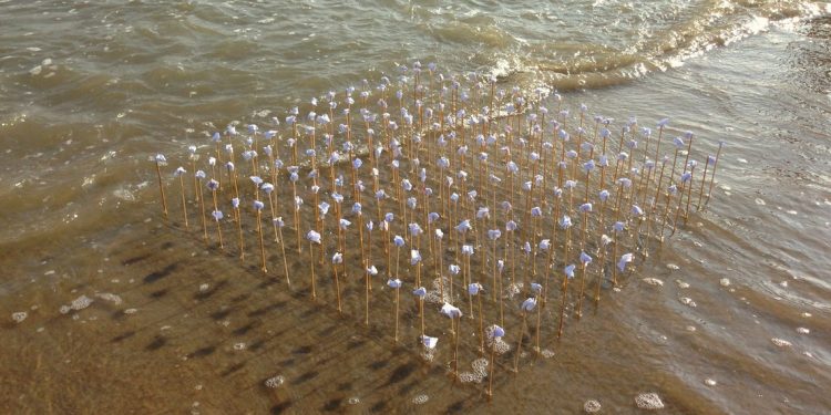 Disagio della procreazione – Cecilia Naranjo