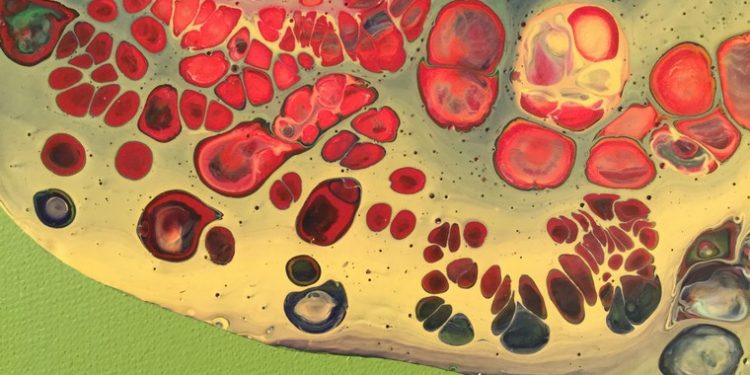 Misteri dell’origine – Carina Arantes Faria