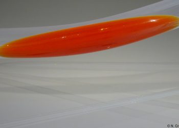 Retour à Gattaca – Nicolas Moyson