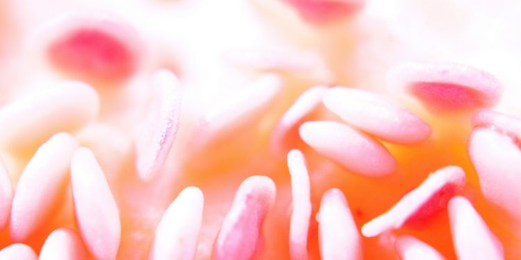 Ritorno a Gattaca – Nicolas Moyson