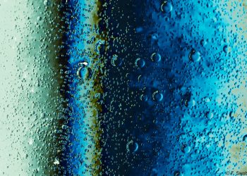 Vouloir un enfant ? – Carina Arantes Faria