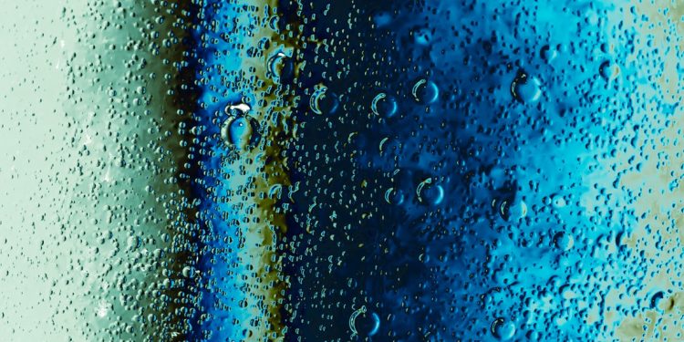 Wanting a child ? – Carina Arantes Faria