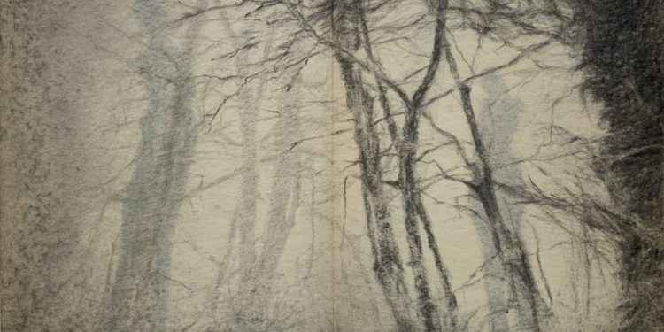 Une fissure dans la filiation – Céline Aulit